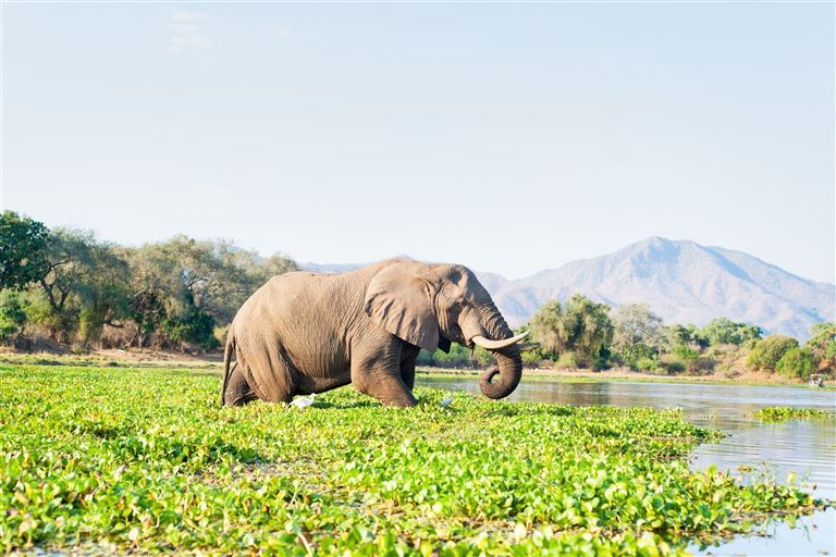 Große Afrika Rundreise ©Julian Parsons/istock